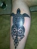 elektrogriller: Maori Tattoo auf Tattoo-Bewertung.de