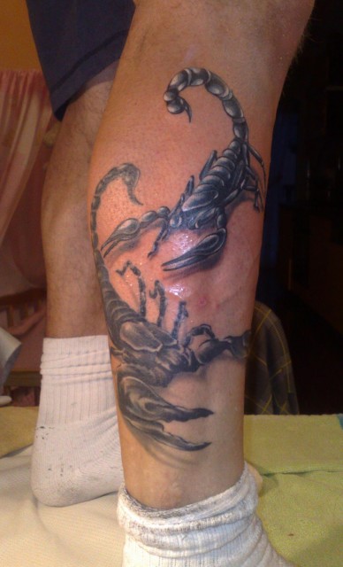 katsumi-Tattoo: scorpion brüder--8 beiner und 6 beiner 