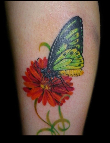 Schmetterling-Tattoo: Schmetterling