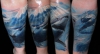 Sharks