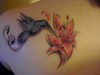  Kolibri+Lilie auf Tattoo-Bewertung.de