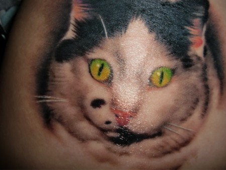 katze-Tattoo: Meine verstorbene Katze