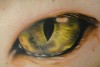 auge!