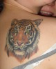 moni1809: Tiger auf Tattoo-Bewertung.de