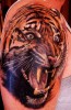Mattes68: KRASSER TIGER !!! Mein 1. Tattoo........ auf Tattoo-Bewertung.de