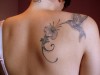  Kolibri mit Blüte auf Tattoo-Bewertung.de