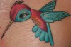  Kolibri auf Tattoo-Bewertung.de