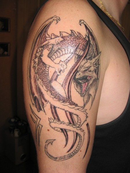 Tattoo Bilder Tribal Drachen Tattoo Arts
