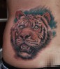 www.kingstreet41.de: Tiger auf Tattoo-Bewertung.de