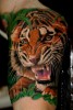 Tattoo Art by Herm: Tiger Innenarm, 5 stunden Arbeit auf Tattoo-Bewertung.de