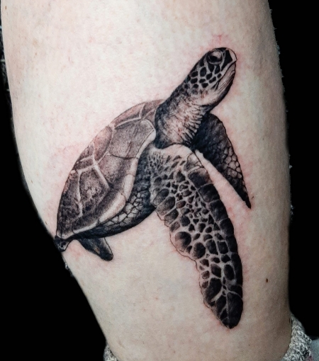 Schildkröte Tattoo