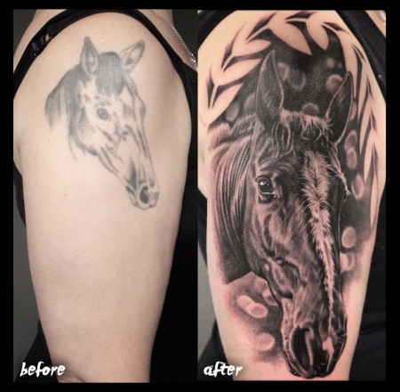 Cover Up Pferd