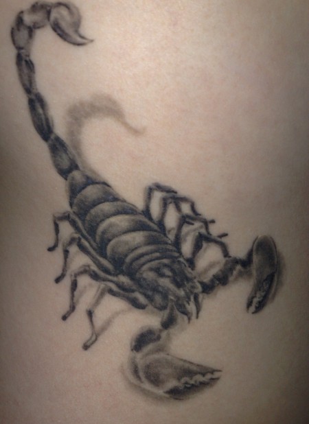 scorpion