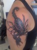 scorpion2