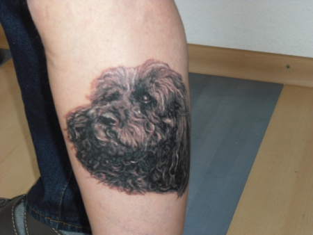 Hundekopf