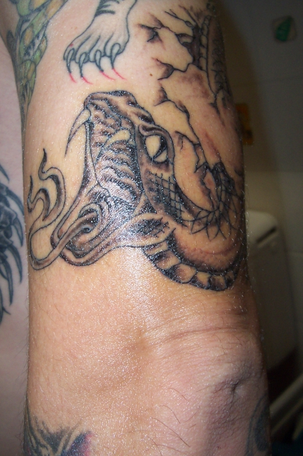 Snake Aufriss 1. Tag nach dem Stechen