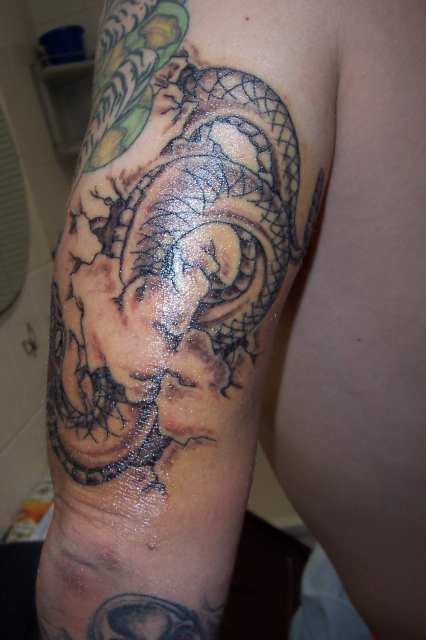 Snake Aufriss 1. Tag nach dem Stechen