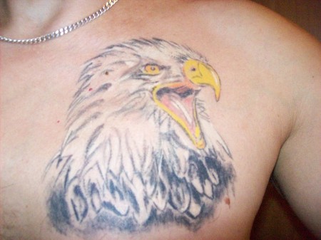 Weißkopfseeadler