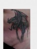 Bat out of Hell