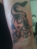 Tribal Stier.
