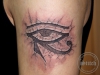 Horus Auge