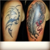 tribal cover up 