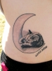 Sleeping Cat