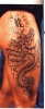Hecki's Drache 1