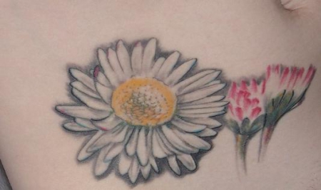 Margerite / Gänseblümchen