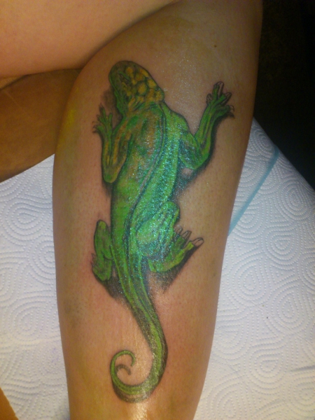 kameleon