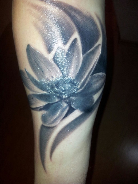 Lotusblume / black-grey 