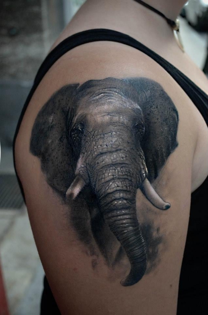 Elefant