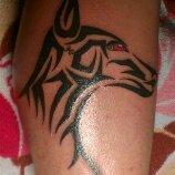 Dobermann