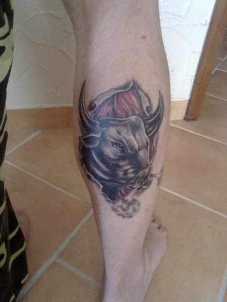 Stier