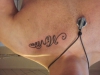 Mein Leben » Mi Vida