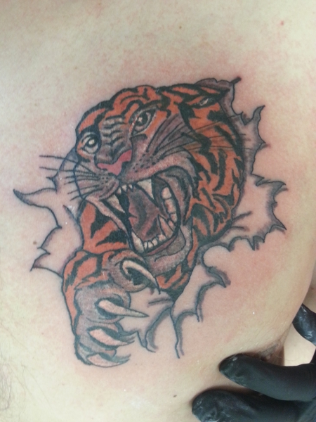 Der erste Tiger von Sweet Pain Tattoo Bremen