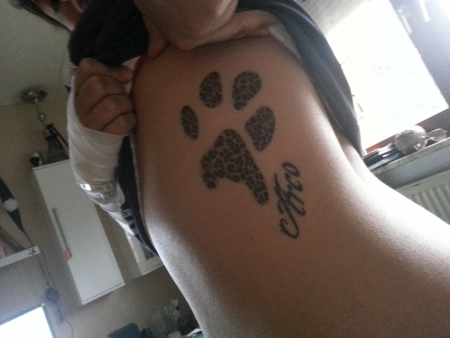 Originalpfote meines Hundes 