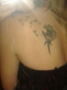 Meine Pusteblume :)
