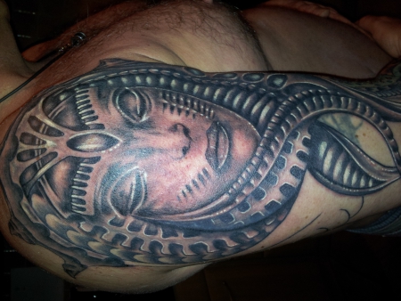 species (noch nicht ganz fertig)