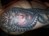 species (noch nicht ganz fertig)