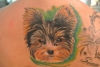 Mein Hund Lilly!