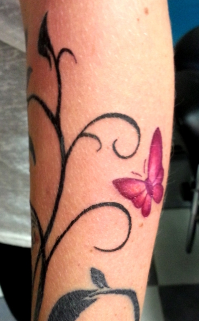 Pinker Schmetterling