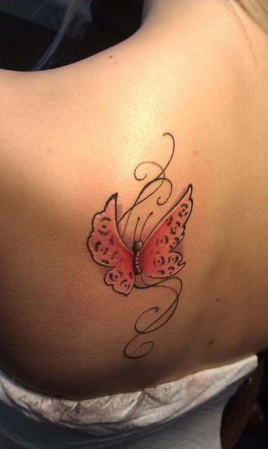Schmetterling mit LEOPARDEN-MUSTER