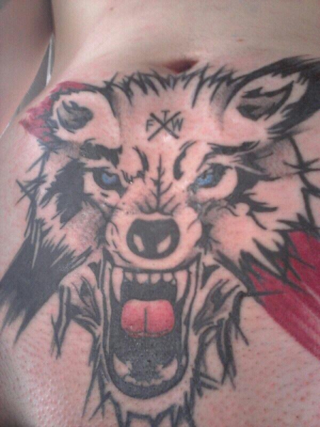 Wolf 