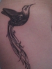 Cover up