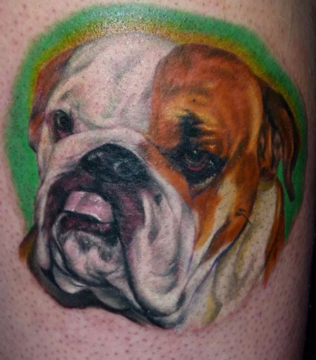 dog