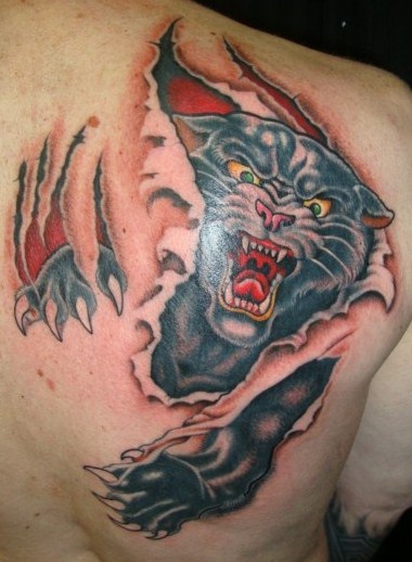 Cover-Up das 2te. Finde dieses Foto besser. Besserer Gesamteindruck.