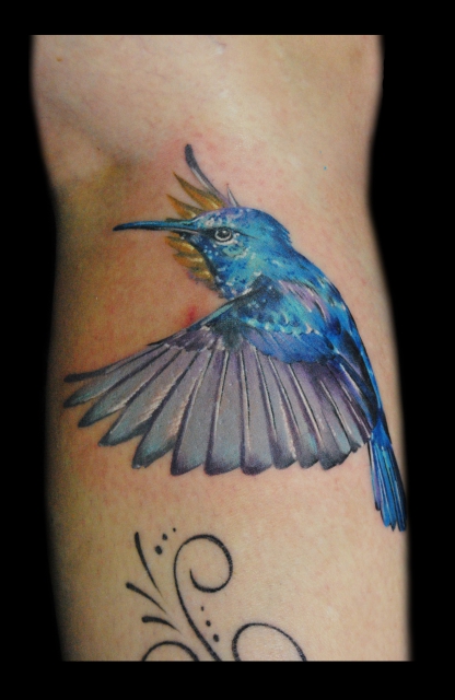 kolibri-Tattoo: Kolibri