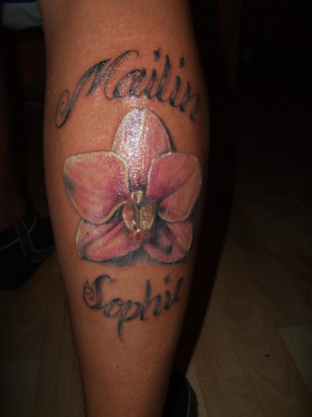 Orchidee mit dem Namen unserer Tochter