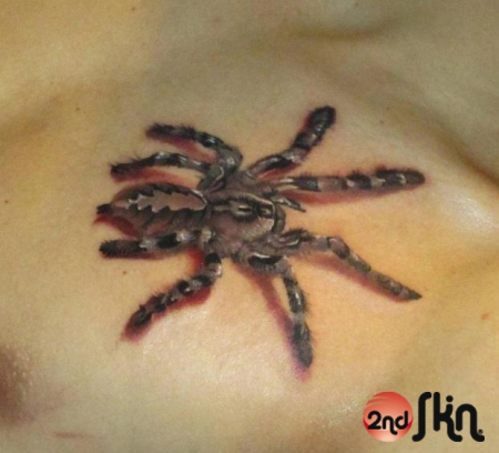 Spider by Deadi